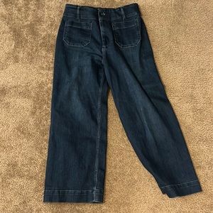 Anthropologie Pilcro Annie Wide leg petite jean